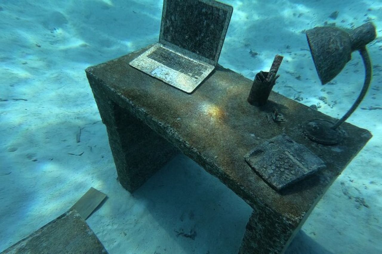 Picnic con snorkeling di 4,5 ore con pranzo a Tahiti — 7