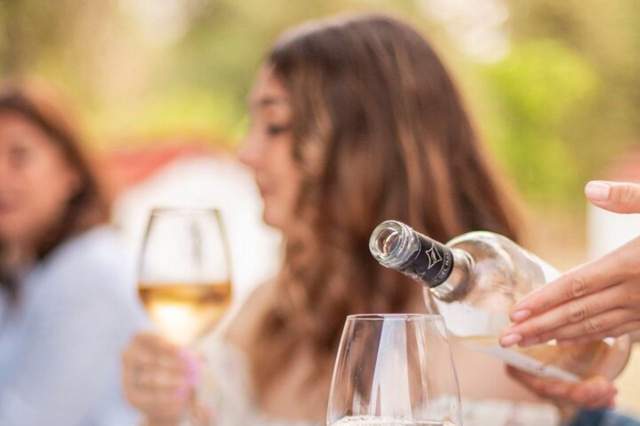 Degustazione di Vini Privata Guidata con Giro alle Vigne a Vieste — 4