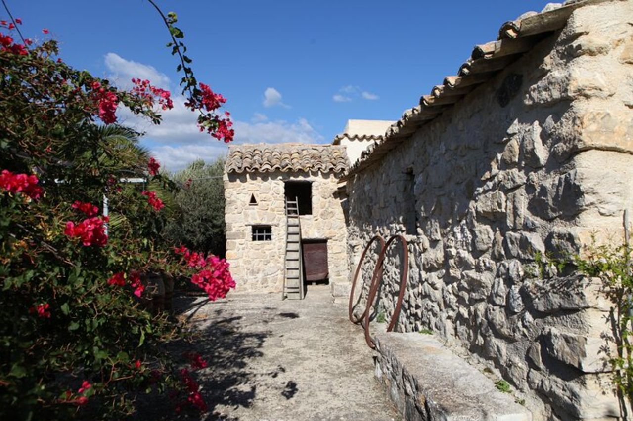 Tour dei vigneti, degustazione di vini e prelibatezze siciliane presso una Cantina ad Agrigento — 3