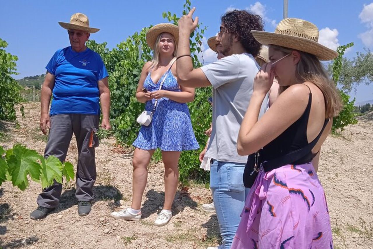 Tour dei vigneti, degustazione di vini e prelibatezze siciliane presso una Cantina ad Agrigento — 5