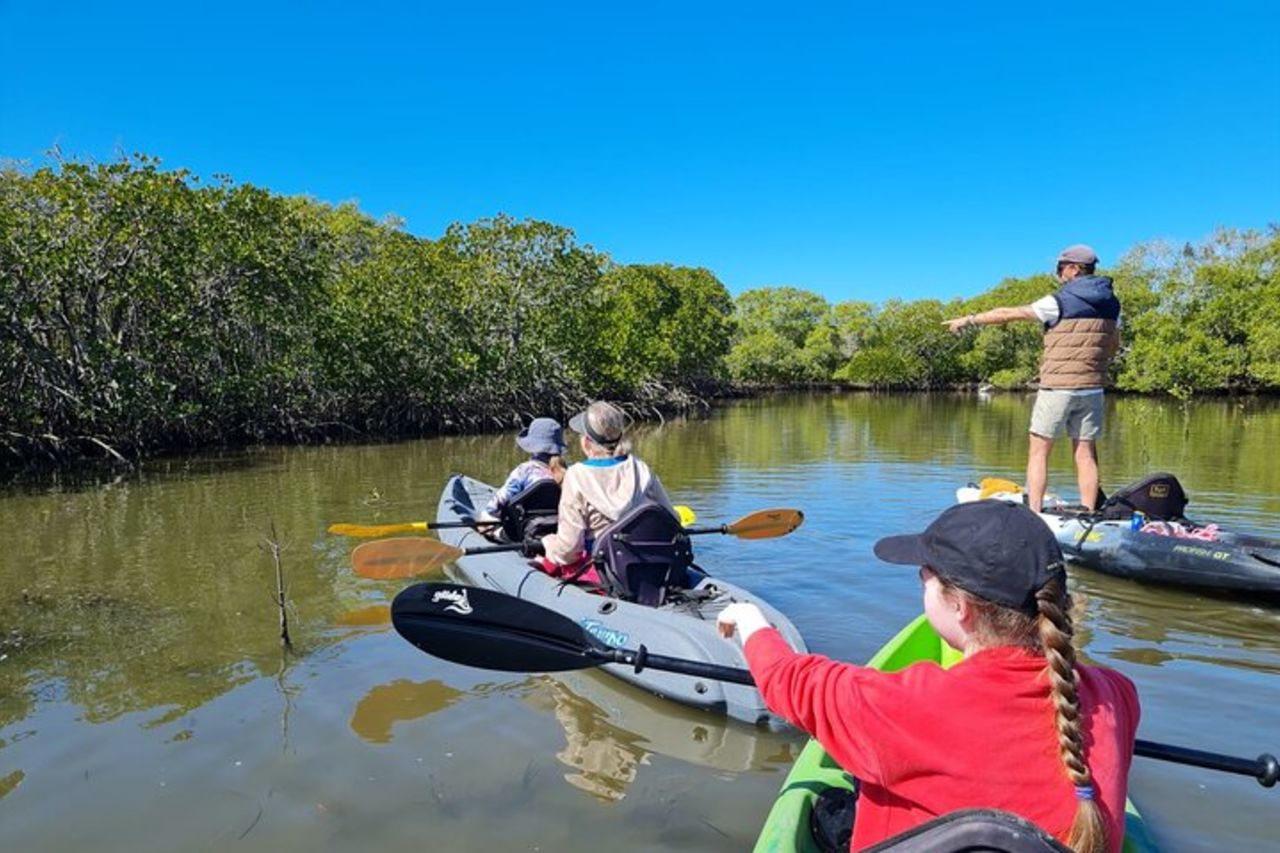 Noosa Everglade Kayak -Sud/Noosa End - Alla ricerca delle razze! — 6