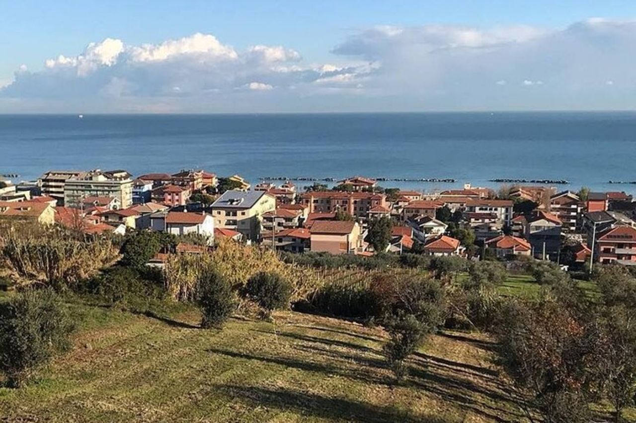 Visita Enogastronomica e Degustazione di Vini a Cantina Rapino