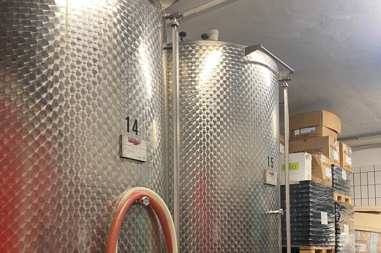 Visita Enogastronomica e Degustazione di Vini a Cantina Rapino — 7