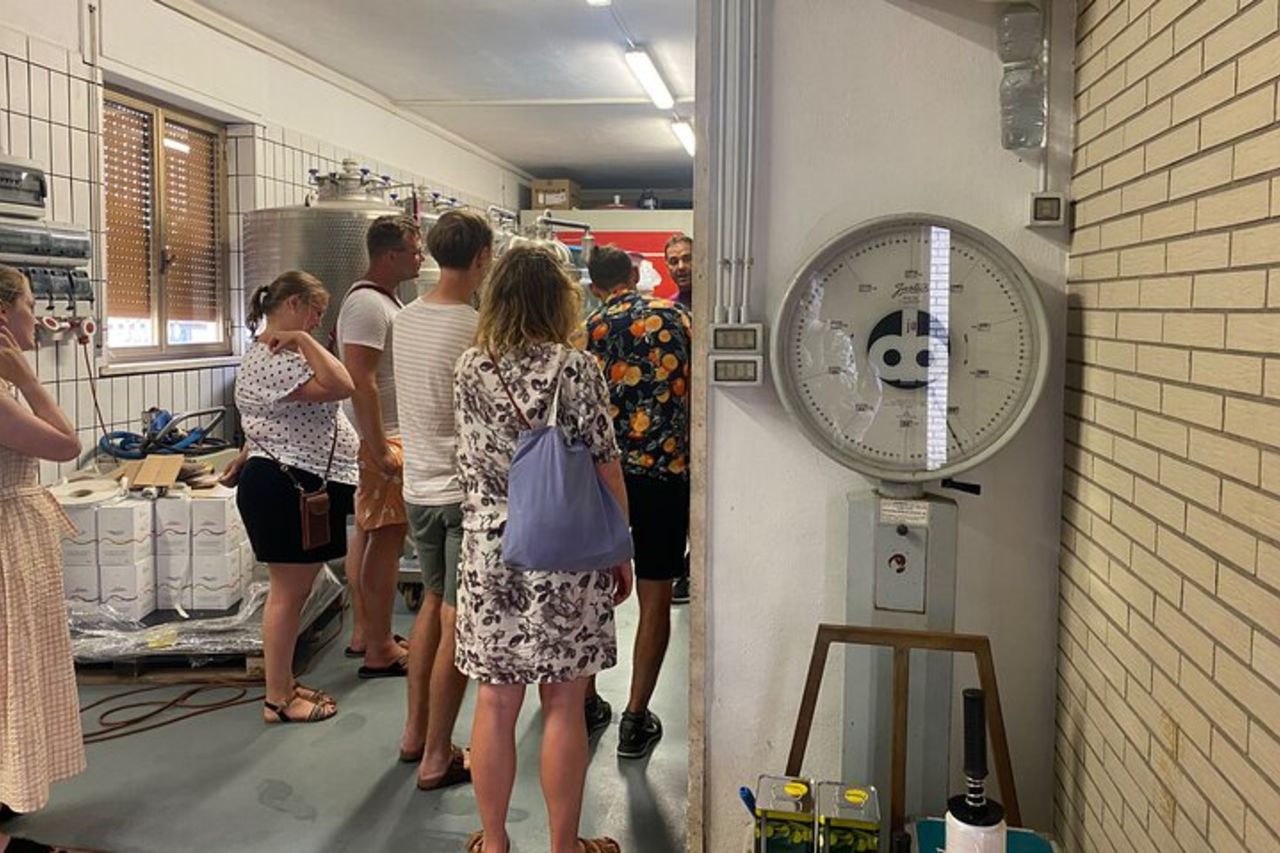 Visita Enogastronomica e Degustazione di Vini a Cantina Rapino — 8