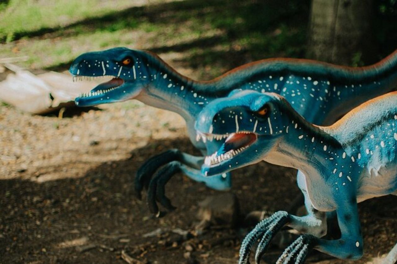 Kualoa Ranch: tour di spedizione nella giungla — 5