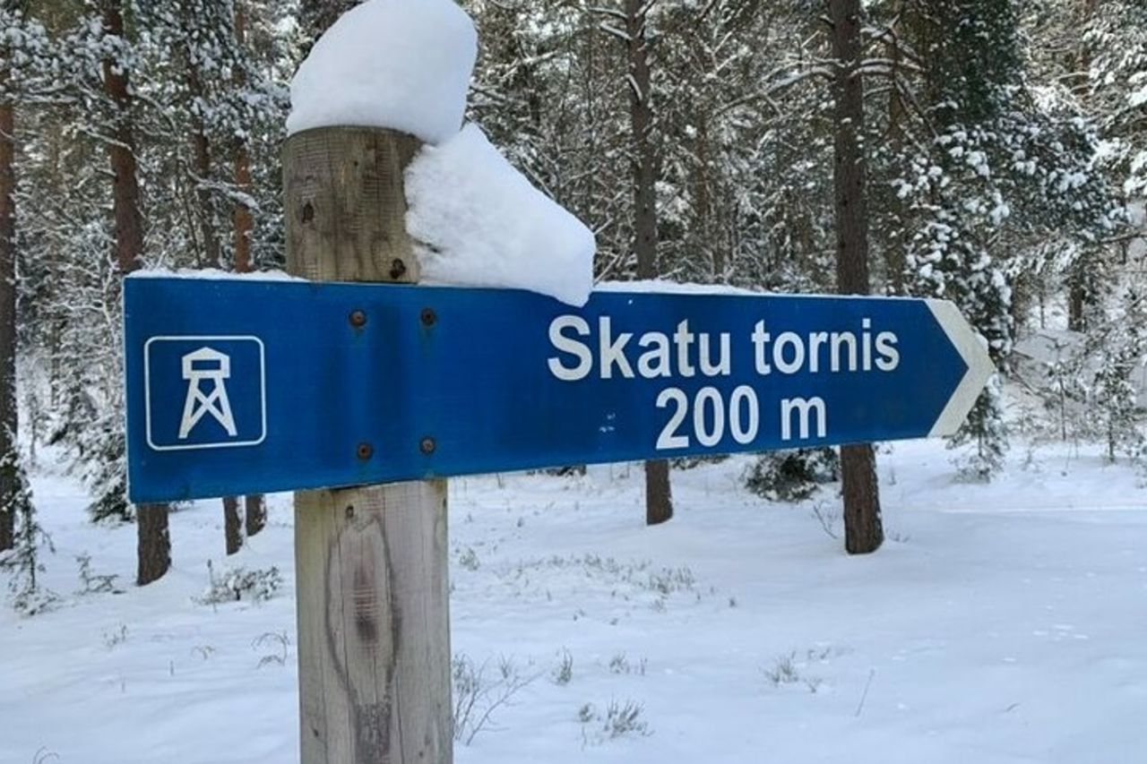 Giro in slitta trainata da cani husky / bike kart in Lettonia ~ 3 ore di tour di gruppo da Riga — 3