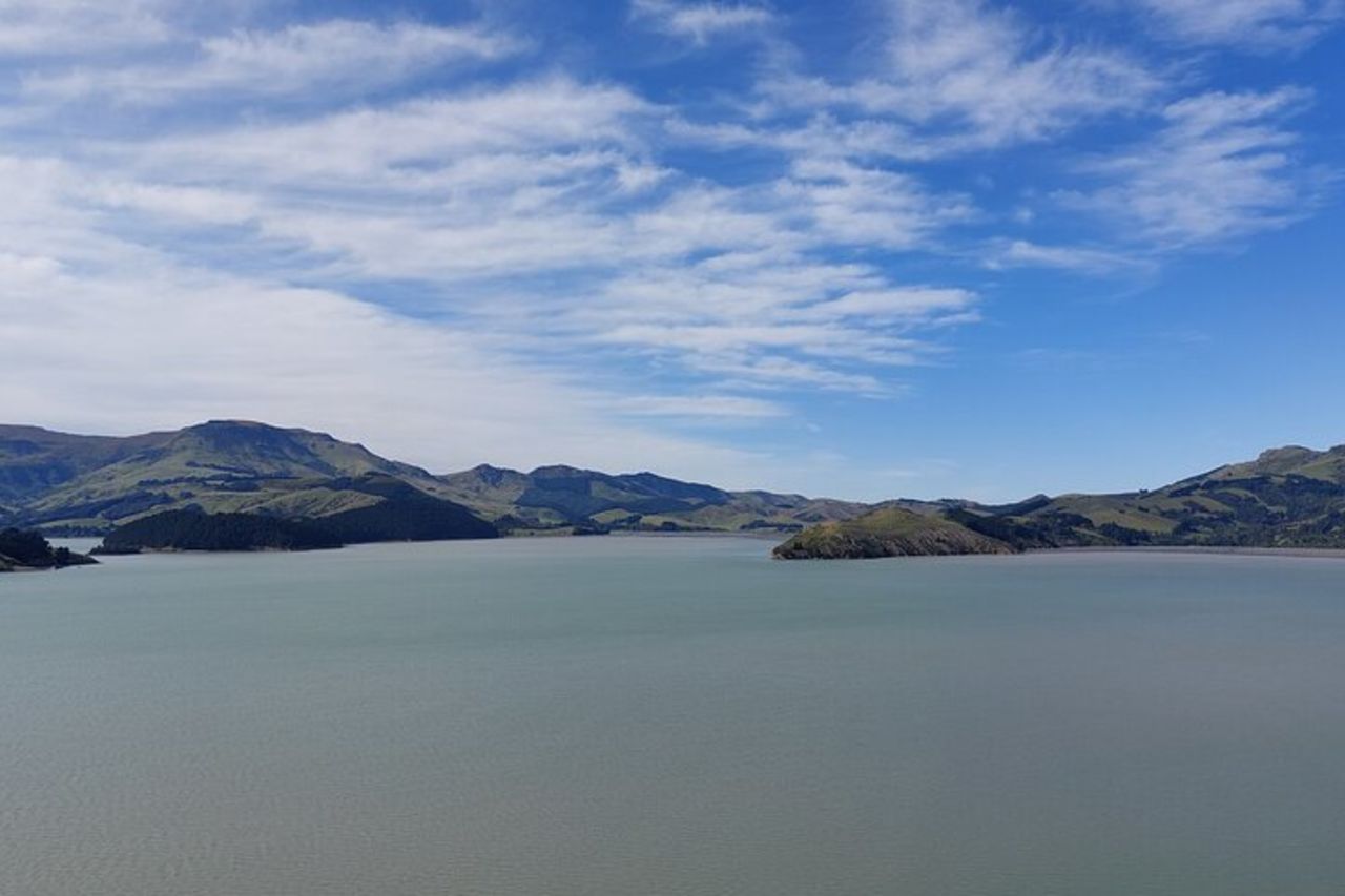 Lyttelton Shore Excursion: Christchurch Sightseeing with Antarctic Centre — 5