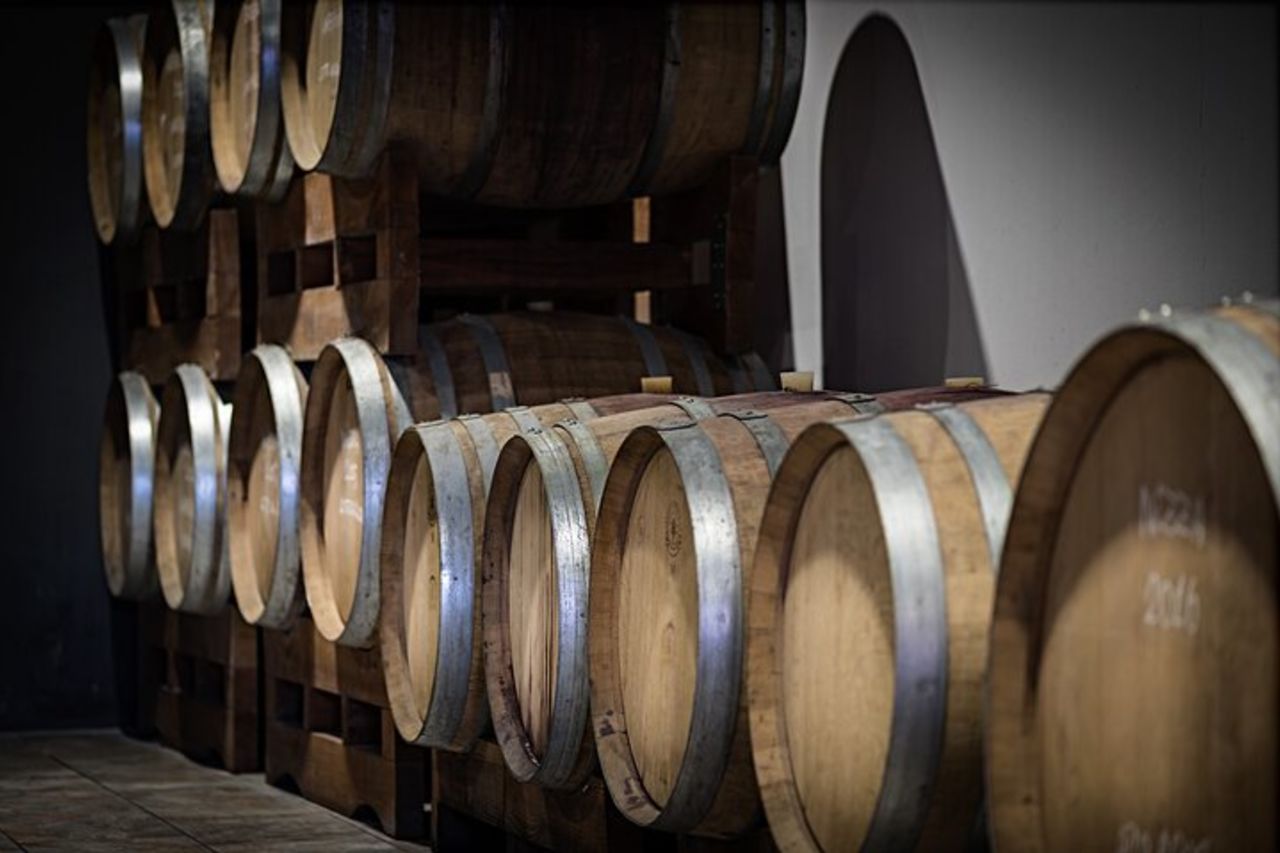 Monferrato: Visita guidata in cantina e picnic tra i vigneti — 9