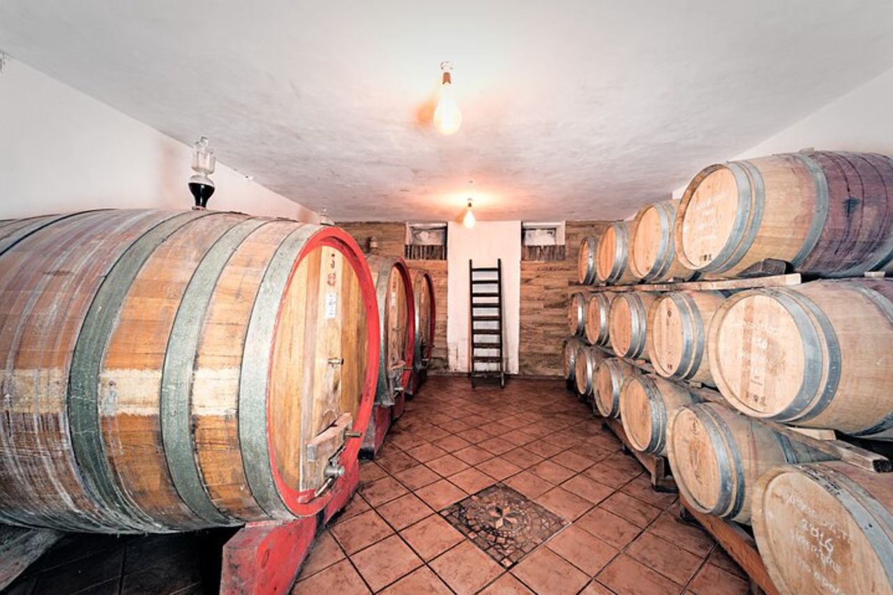 Monferrato: Visita guidata in cantina e picnic tra i vigneti — 8