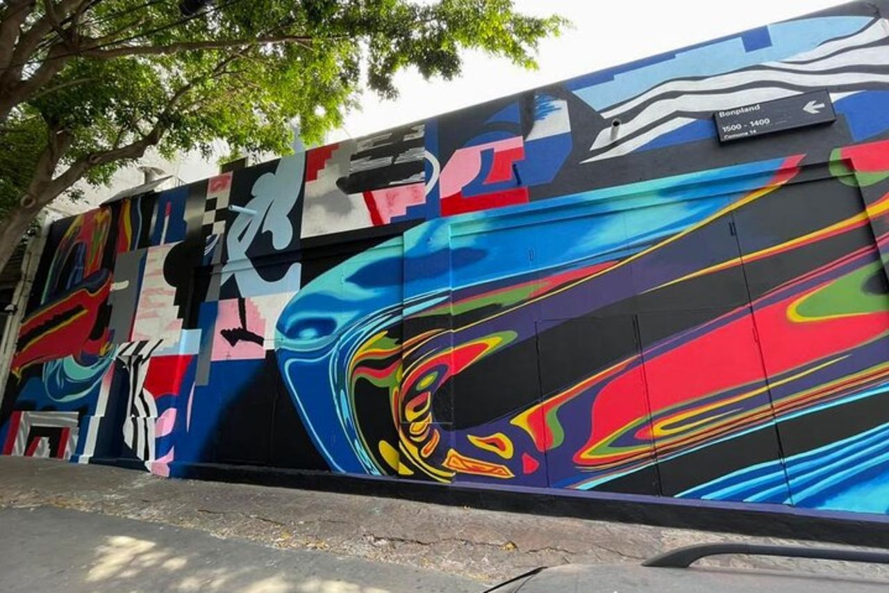 Tour dei graffiti di Buenos Aires per piccoli gruppi — 5