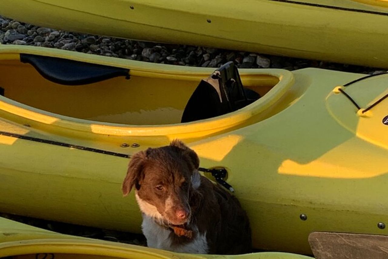 Rodi Sea Kayaking Adventure piccoli gruppi incl. Trasferimento e spuntino — 9