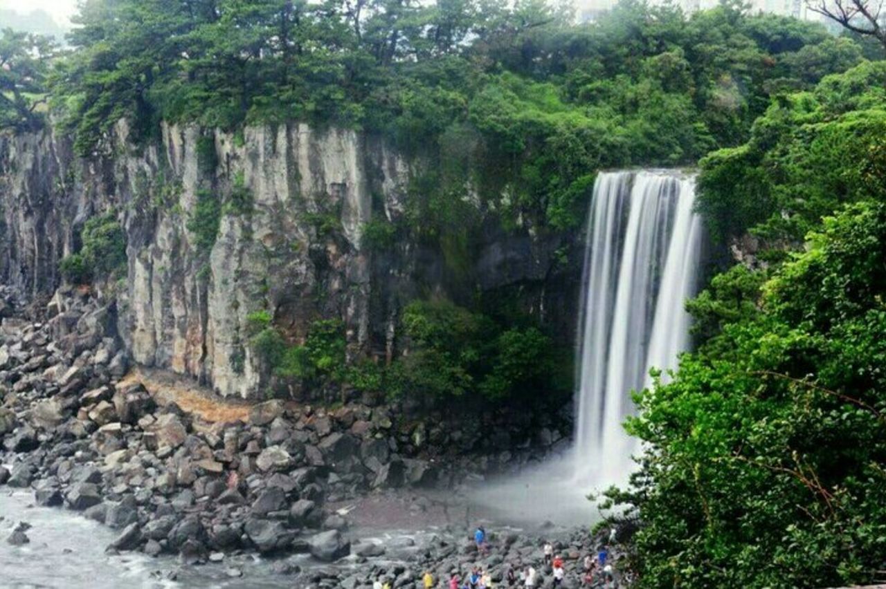 Tour privato di mezza giornata a sud e ovest nell'isola di Jeju — 3