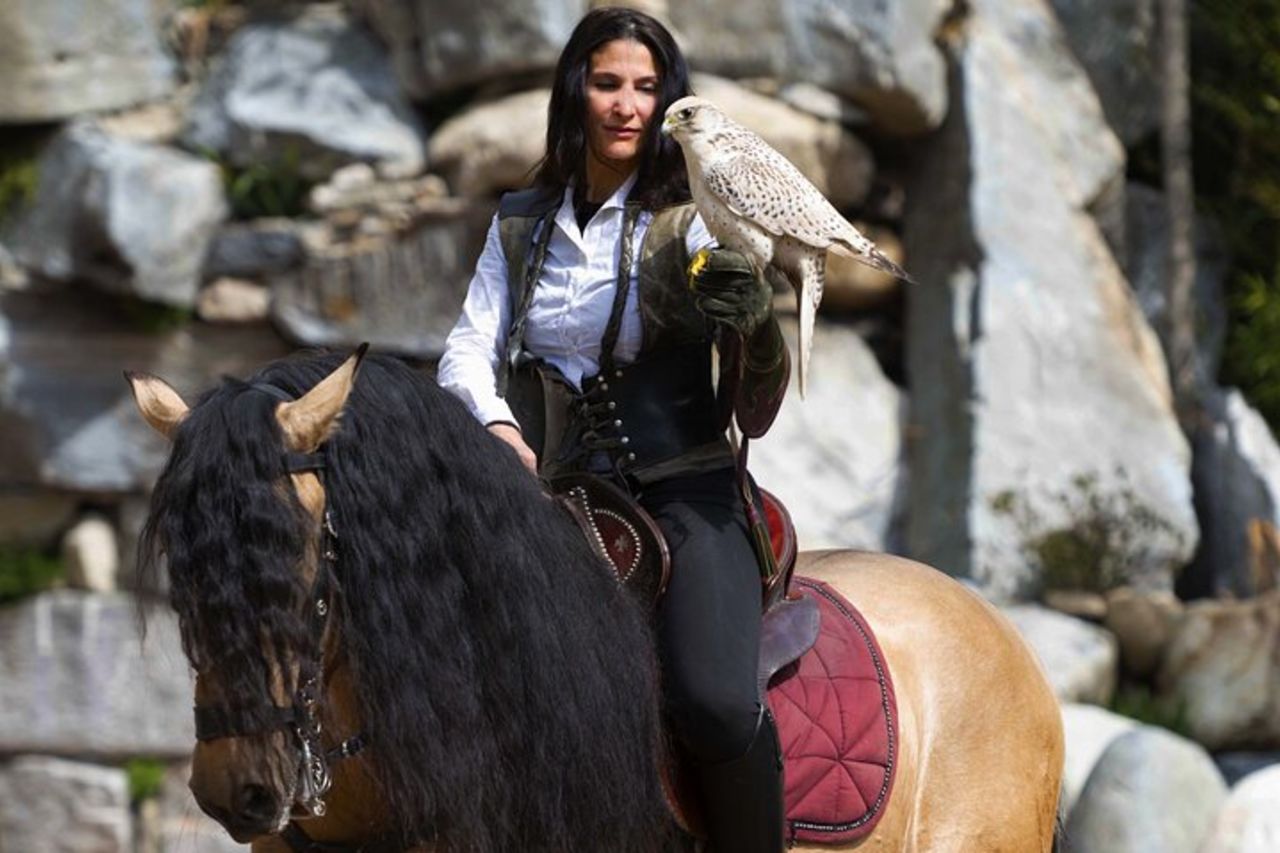 Saltafila: biglietto Falconeria Locarno — 3