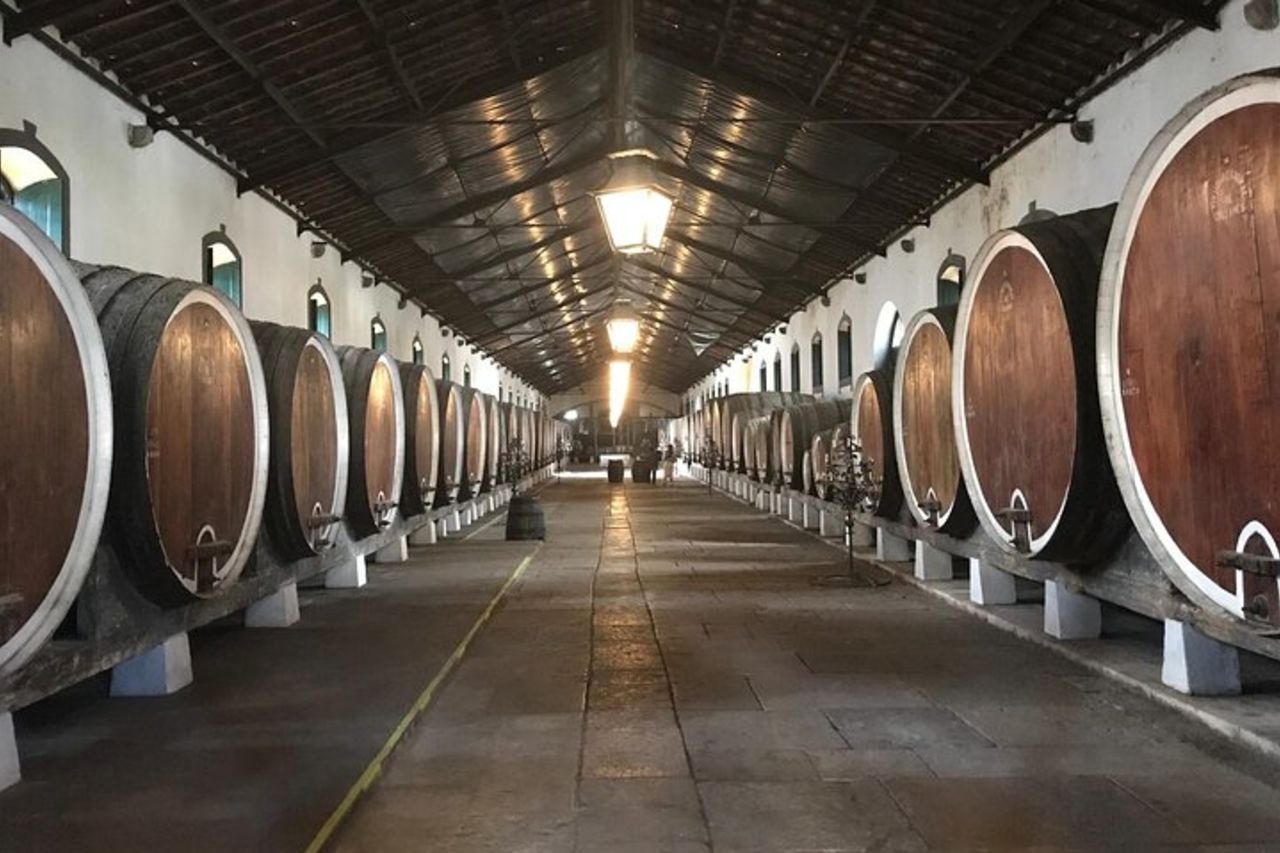 Sintra Off-Road Tour - Viste atlantiche e sentieri segreti — 8