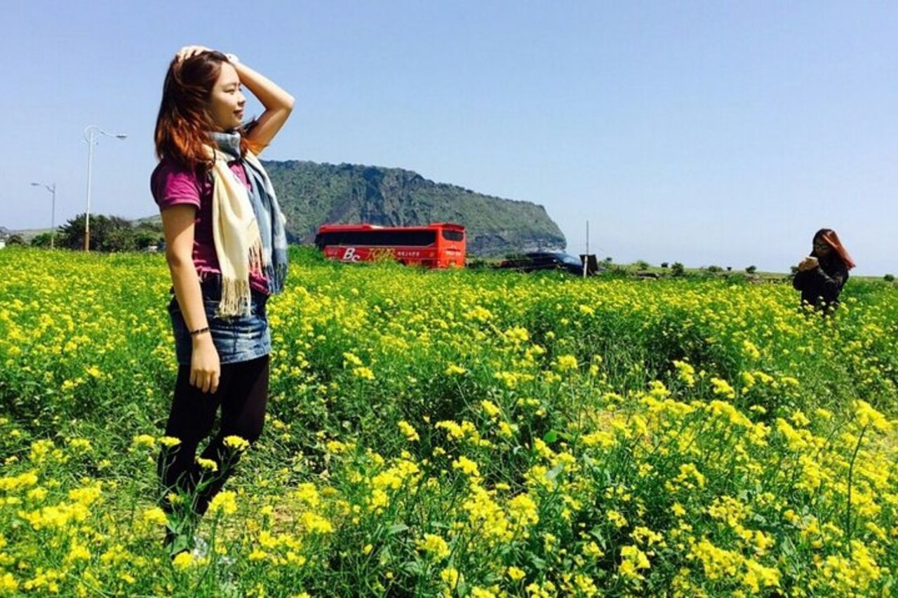 Tour privato dell'isola di Jeju - Tour giornaliero dell'UNESCO e spettacolo Haenyeo — 5