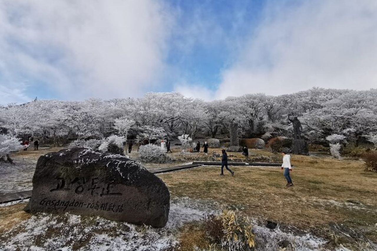 Tour privato dell'isola di Jeju - Tour giornaliero dell'UNESCO e spettacolo Haenyeo — 8