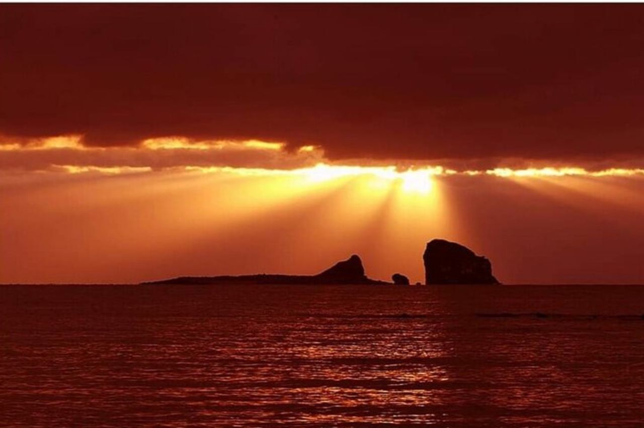 Tour privato di un giorno dell'isola di Jeju – ovest e sud dell'isola di Jeju — 5