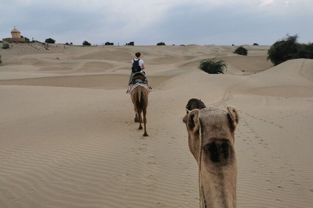 Tour privato di 13 notti e 14 giorni dell'Heritage Rajasthan da Nuova Delhi — 9