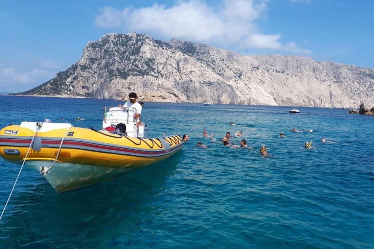 Avvistamento Delfini e Snorkeling a Figarolo in Sardegna — 9
