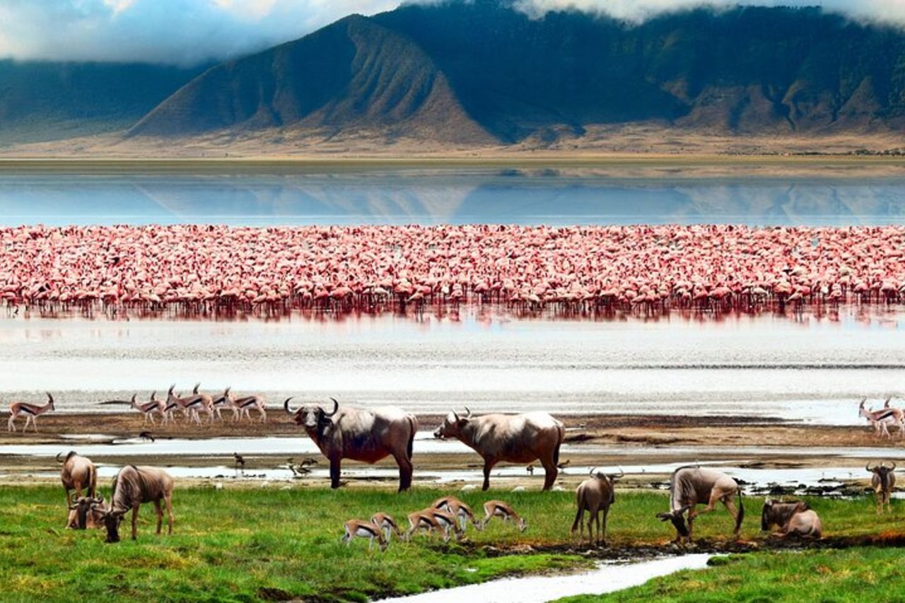 Safari di 3 giorni Cratere di Ngorongoro e Parco nazionale del Serengeti — 9
