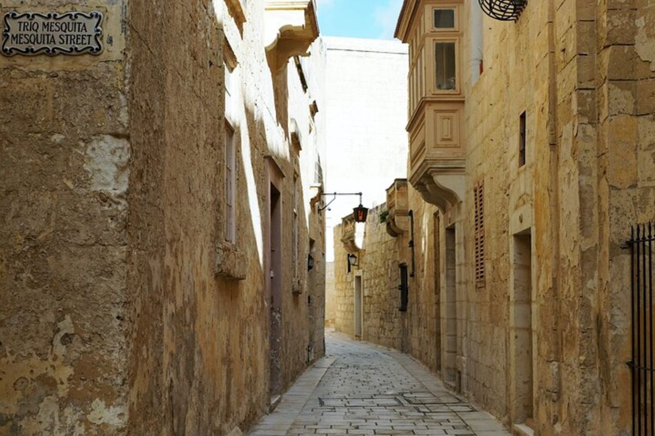 Tour privato di mezza giornata intorno all'isola di Malta — 4