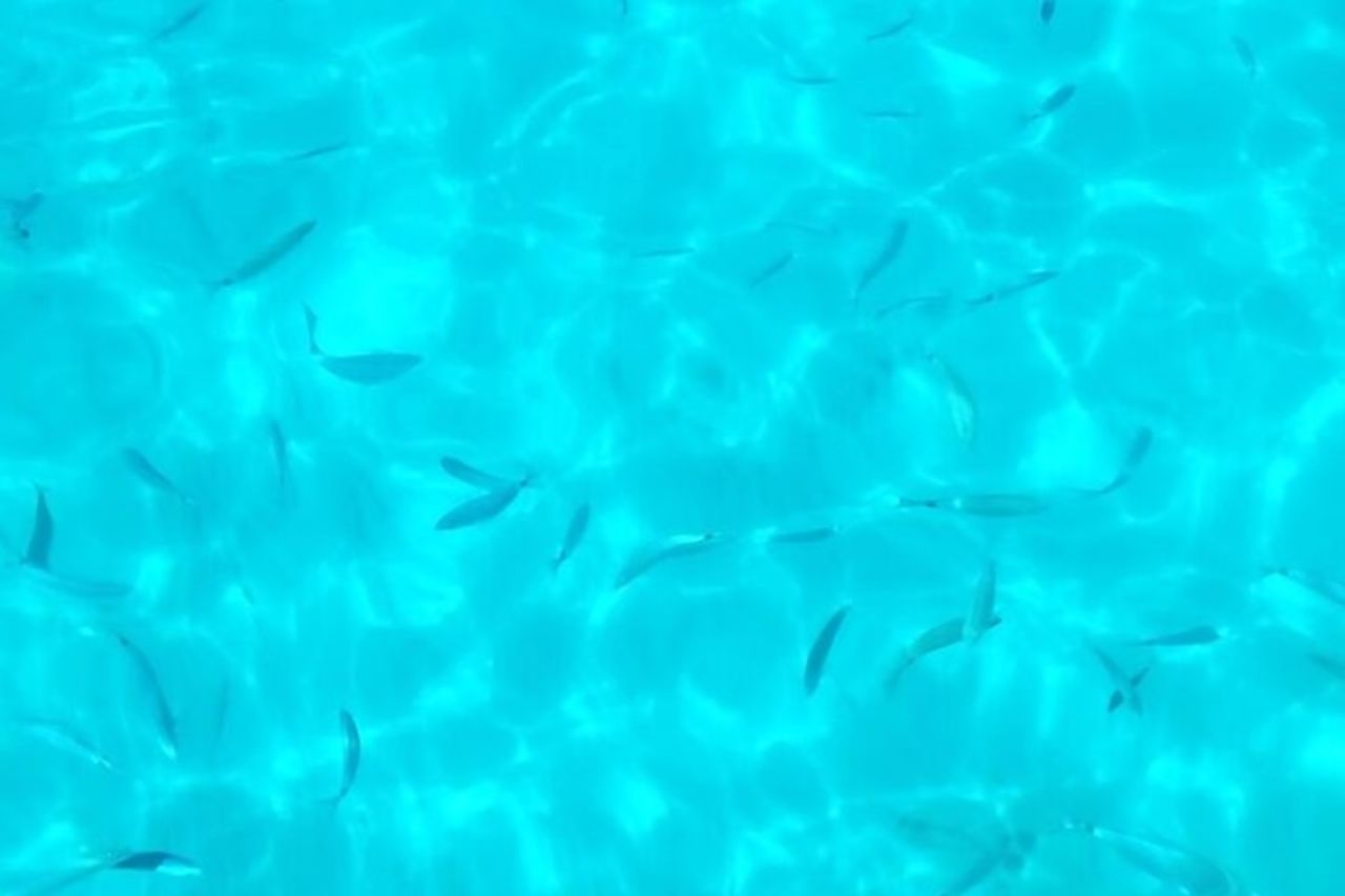 Escursione da un'ora e mezza in barca alla Scala Dei Turchi — 9