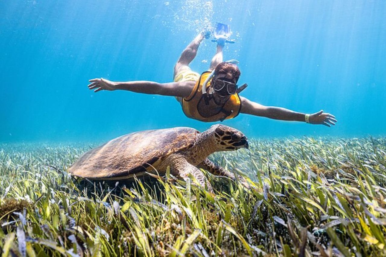Tour di snorkeling con tartarughe e razze Puerto Morelos — 2