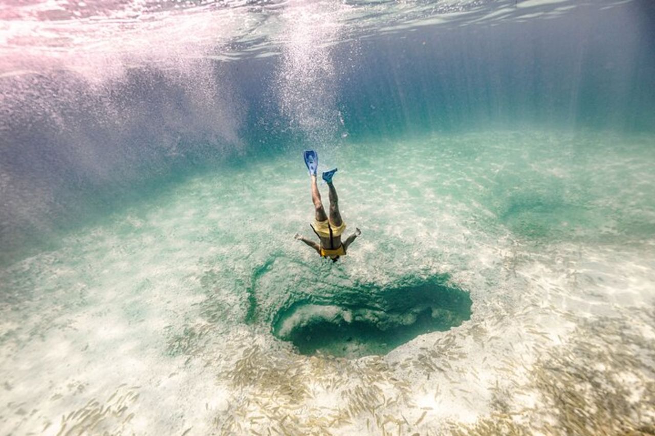 Tour di snorkeling con tartarughe e razze Puerto Morelos — 4