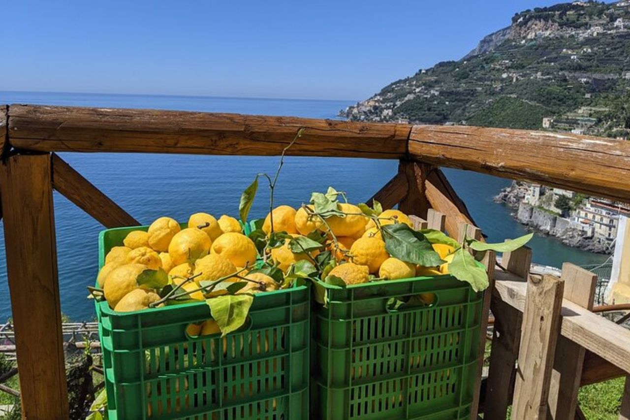 Amalfi Coast - Maiori: Path of Lemons Tour with Tasting