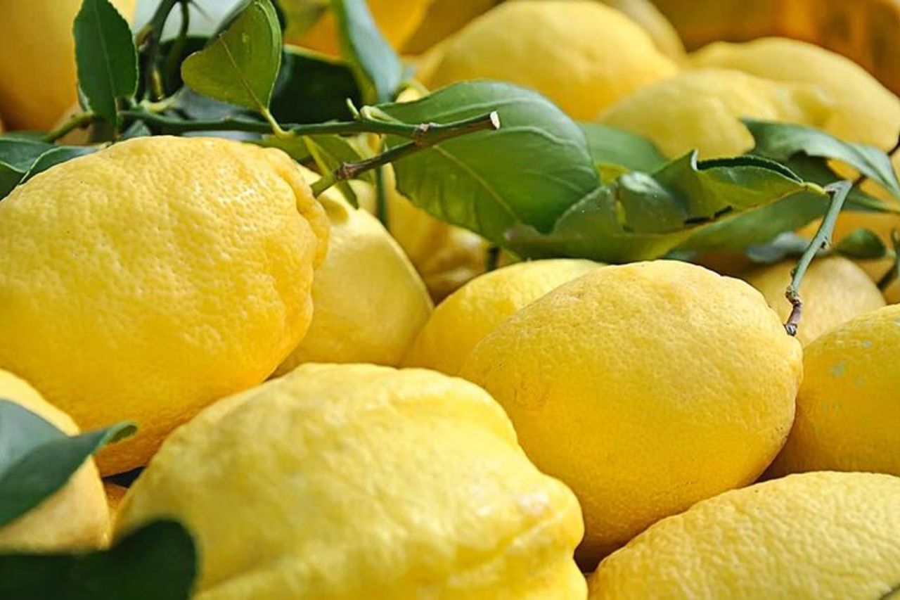 Amalfi Coast - Maiori: Path of Lemons Tour with Tasting — 4
