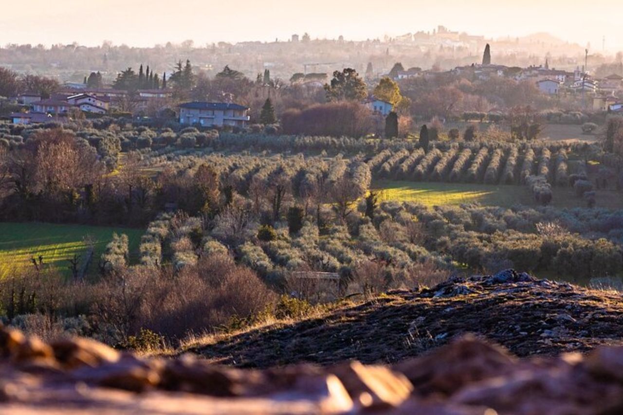 Tour fotografico al tramonto sul Lago di Garda — 3