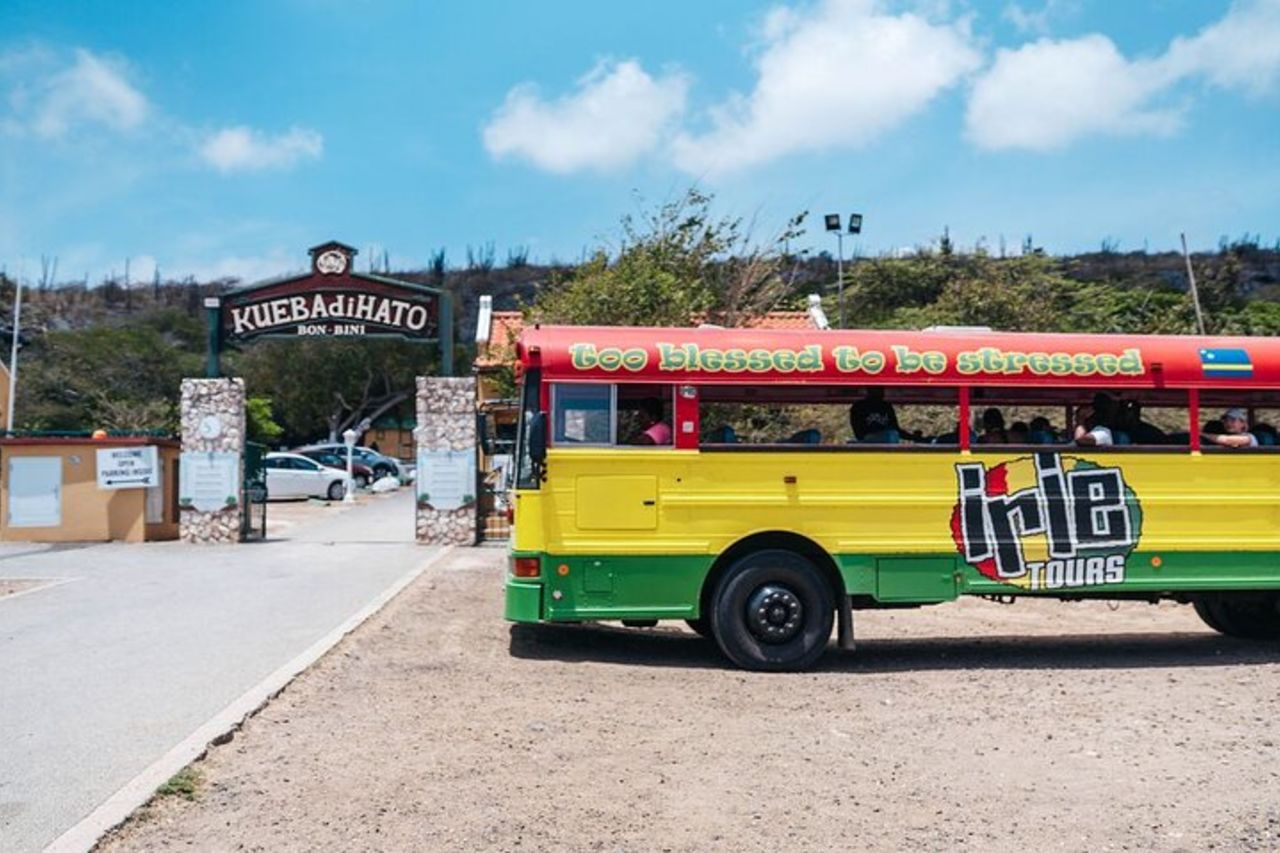 Hato Caves, Turtles & Beach — 3