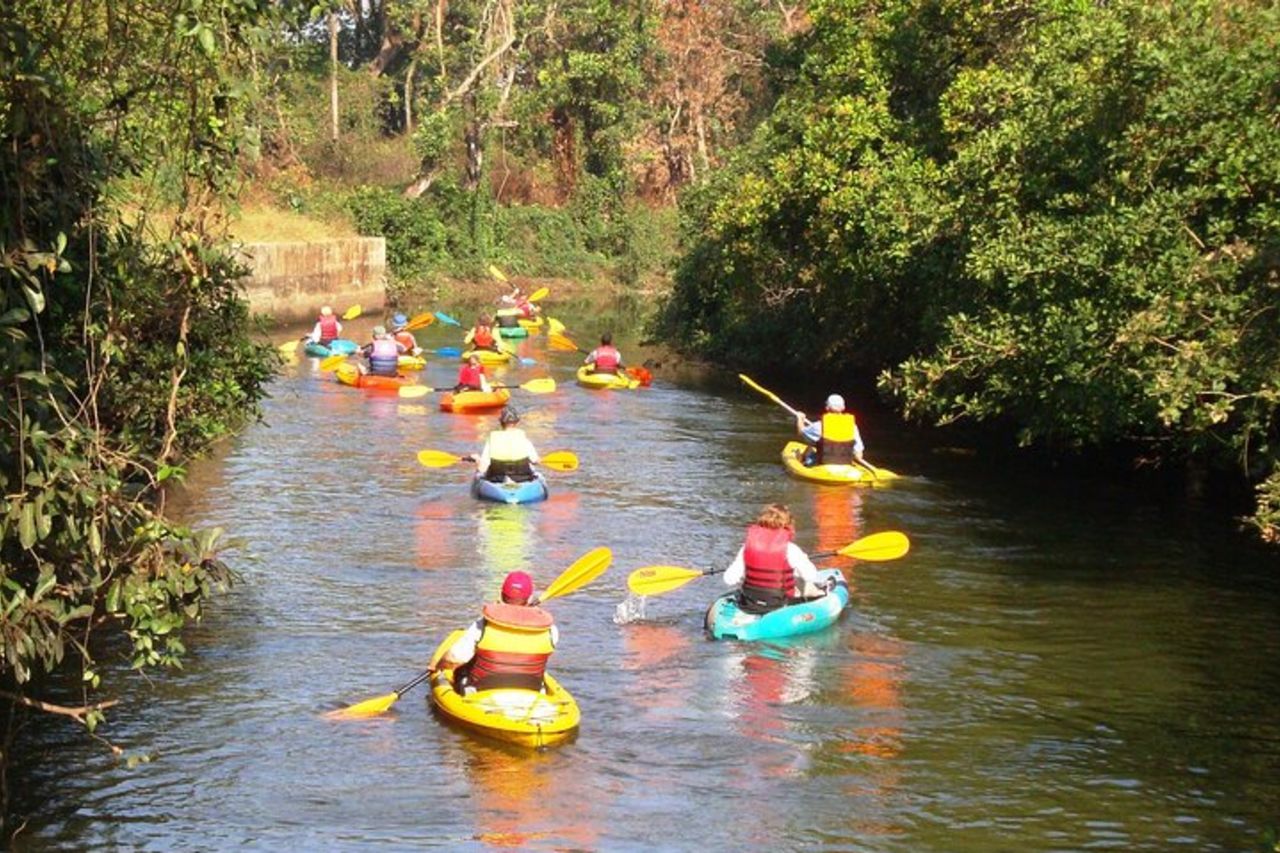 Goa Kayak L'esperienza di Kayak negli stagni di Salonia di Spike — 6