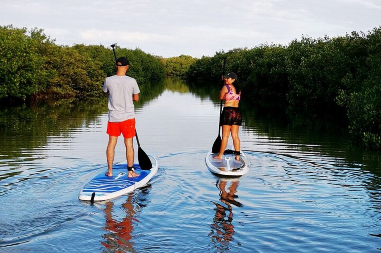 Impara il paddle board ed esplora le mangrovie di Progreso — 6