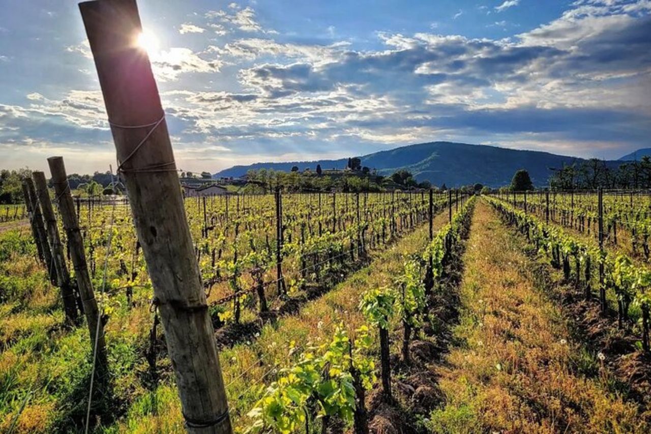 Bicicletta in Franciacorta e Lago d'Iseo, single tour privato — 8