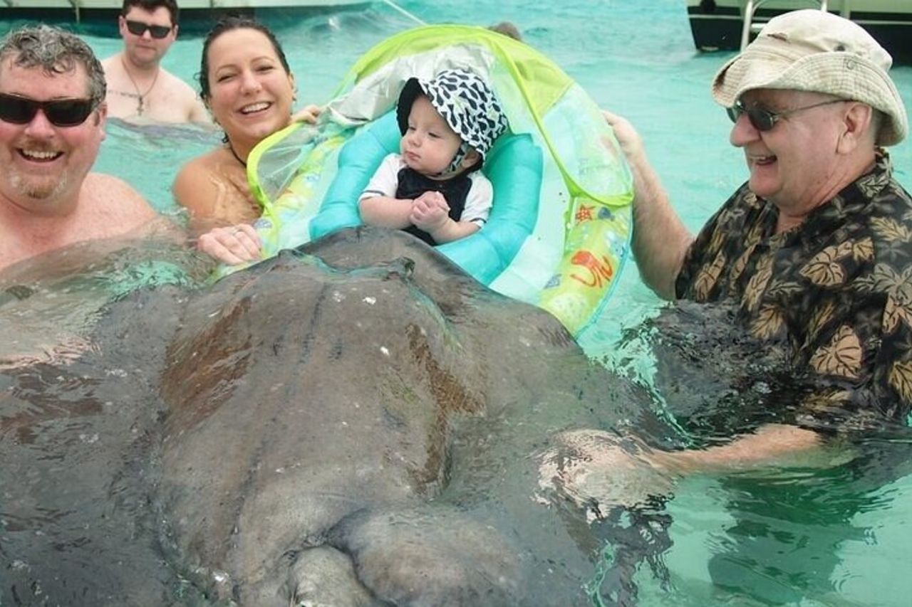 Tour di razze, stelle marine e snorkeling — 6