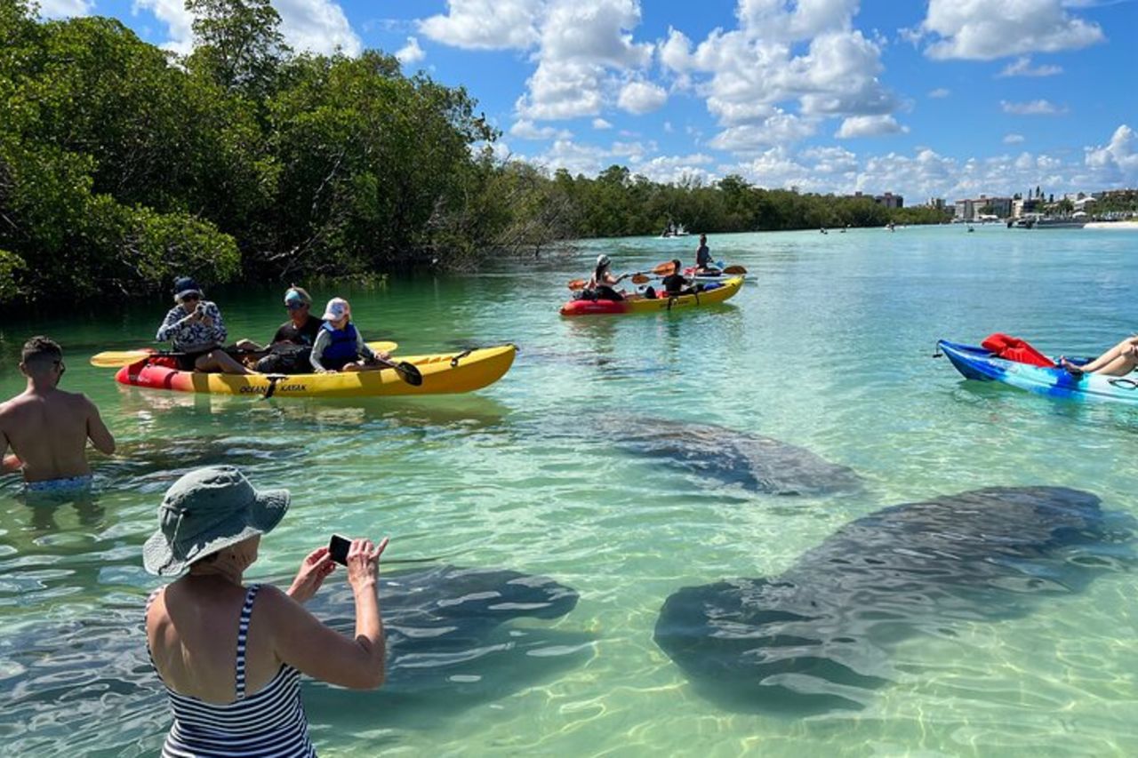 Tour dell'isola autoguidato: kayak CLEAR/Standard, SUP-Bonita Springs — 2