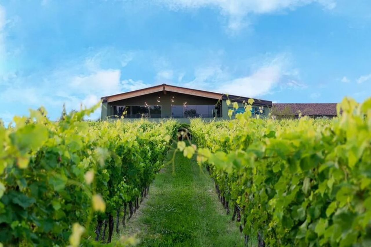 Wine Tour e Degustazione di Vini Lugana a Desenzano — 6