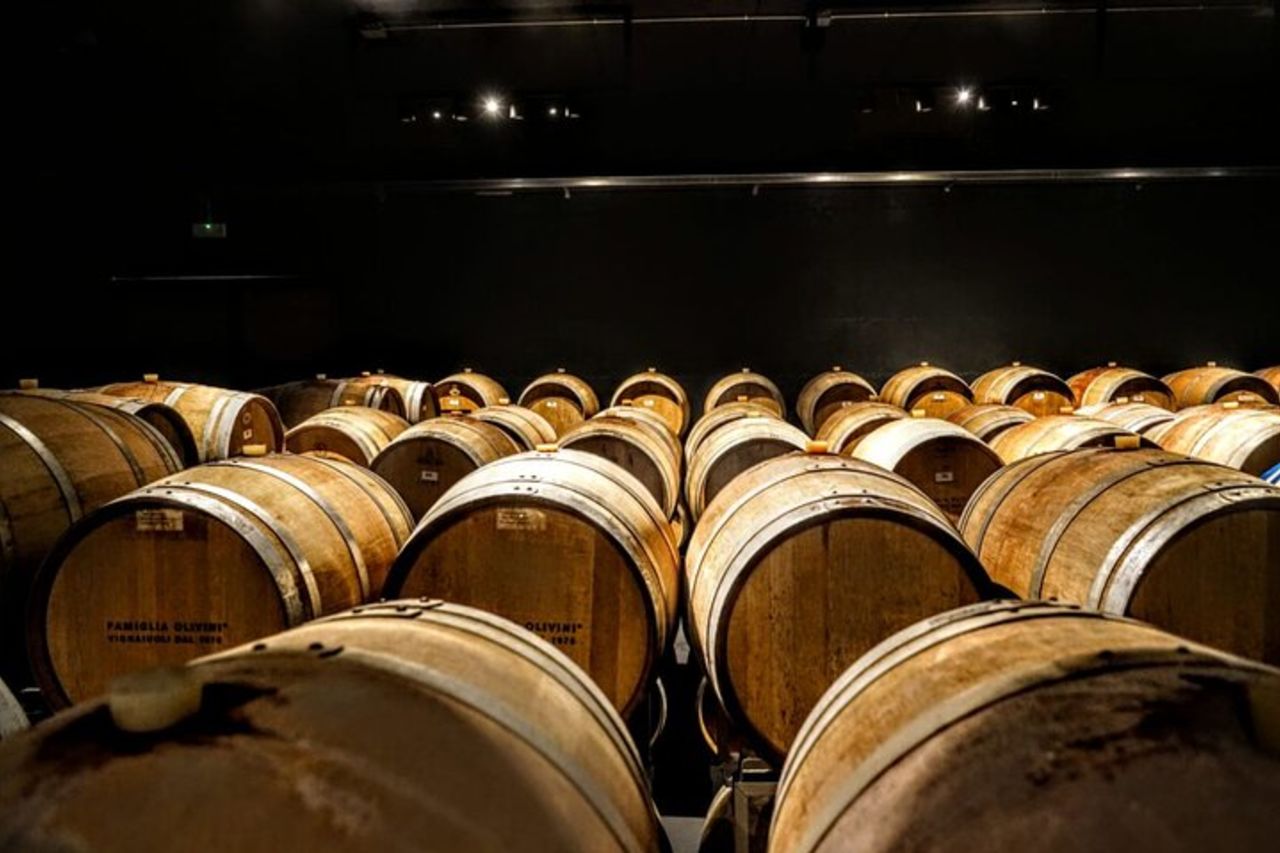 Wine Tour e Degustazione di Vini Lugana a Desenzano — 8