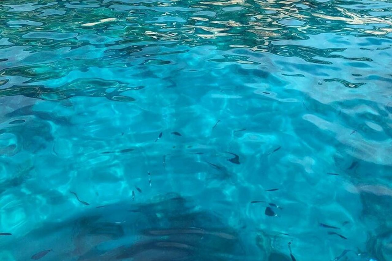 Tour condiviso delle Cinque Terre di 3 ore + soste per il nuoto in spiagge appartate! — 3