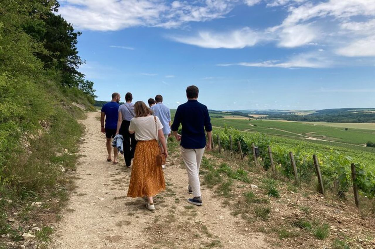 Passeggiata nei vigneti di Chablis Grands Crus