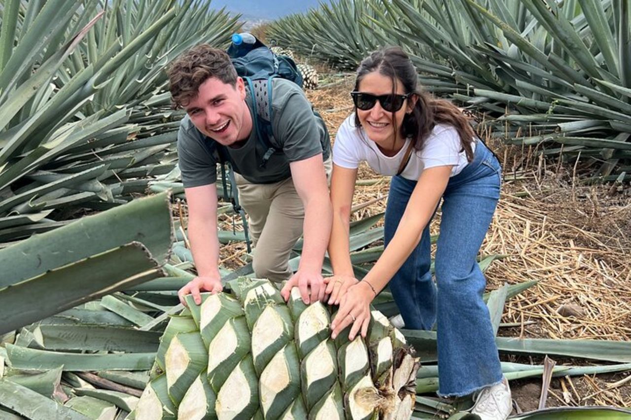 Il viaggio del Mezcal — 8