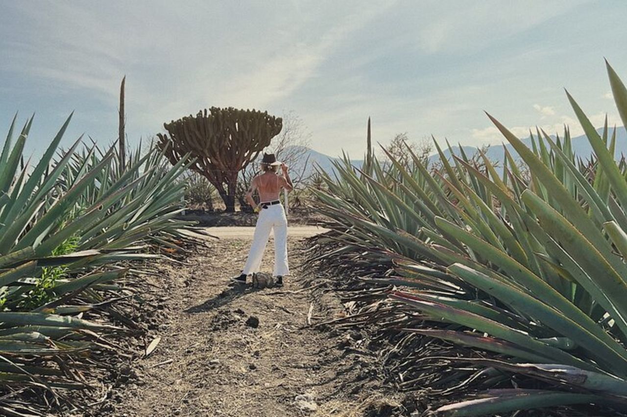 Il viaggio del Mezcal — 9