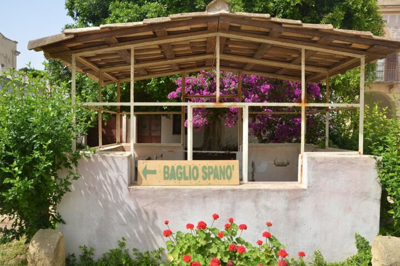 Tour in Quad- tra vigneti e Mare con calice di vino. — 7