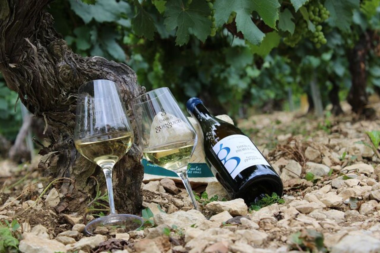 Fuga di vino con degustazione nel vigneto Chablis