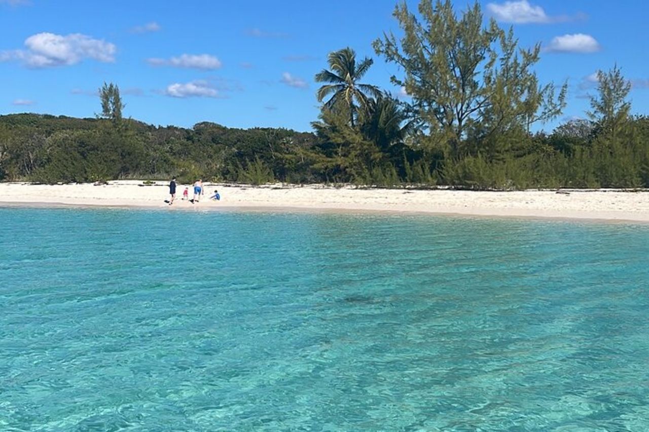 Isola privata di Eleuthera: nuota con maiali, tartarughe e razze — 3