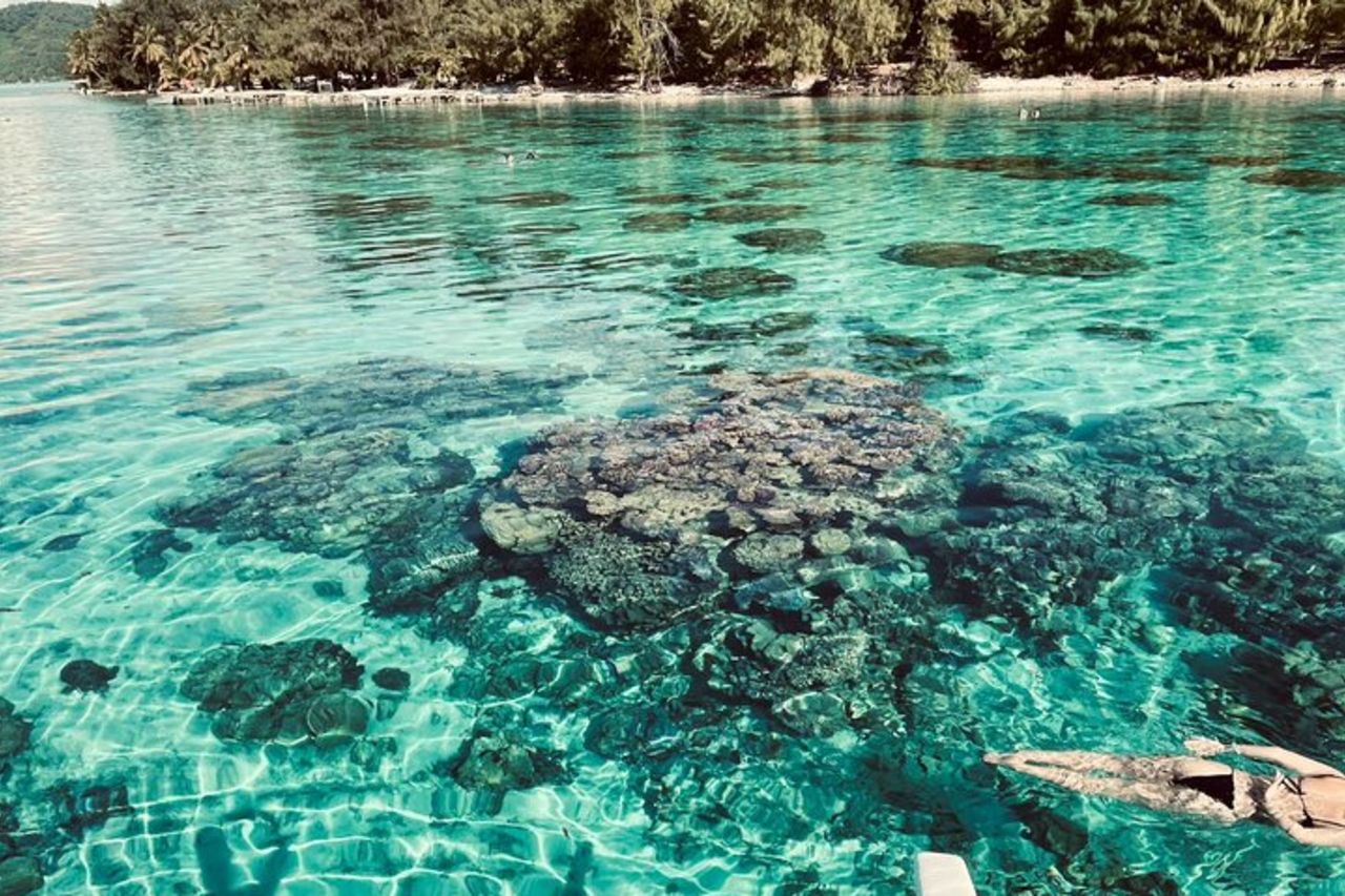 Tour safari in laguna di mezza giornata a Bora Bora - Tour condiviso