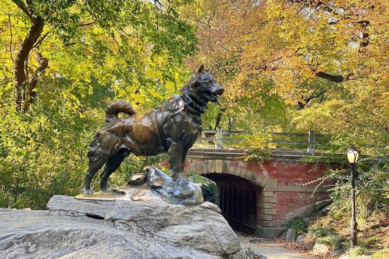 Tour guidato in bici di Central Park 2 ore — 8