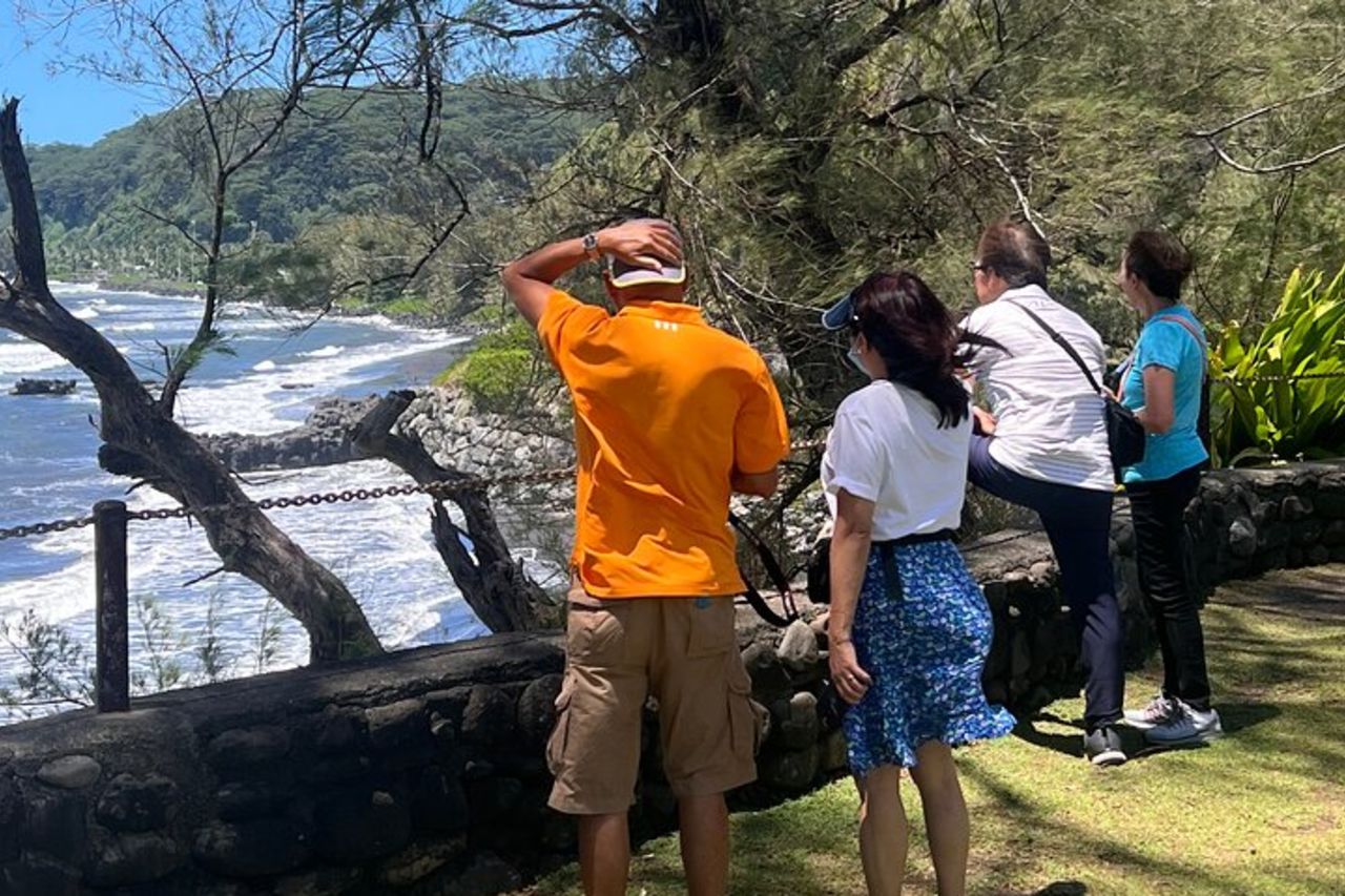 Tour unico di Tahiti: tour personalizzato della costa orientale per piccoli gruppi — 5
