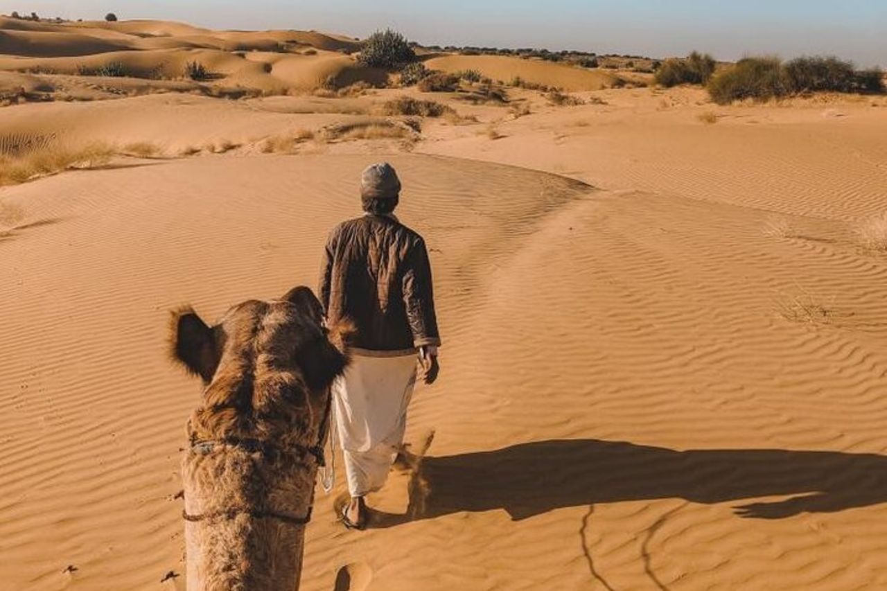 Safari notturno nel deserto selvaggio — 4
